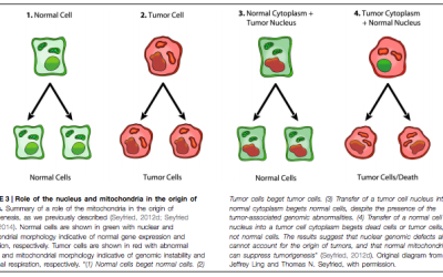 Cancer as a Metabolic Disease