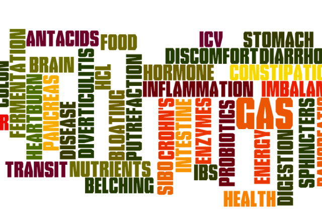 Part 1: Digestive Diseases – The Root Cause Of All Illness?