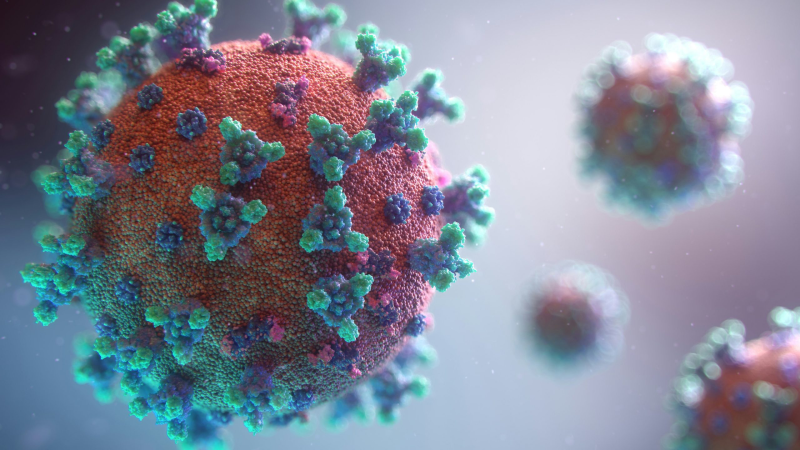 Immune Health